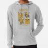 ssrcolightweight hoodiemensheather greyfrontsquare productx1000 bgf8f8f8 9 - Foo Fighters Merch